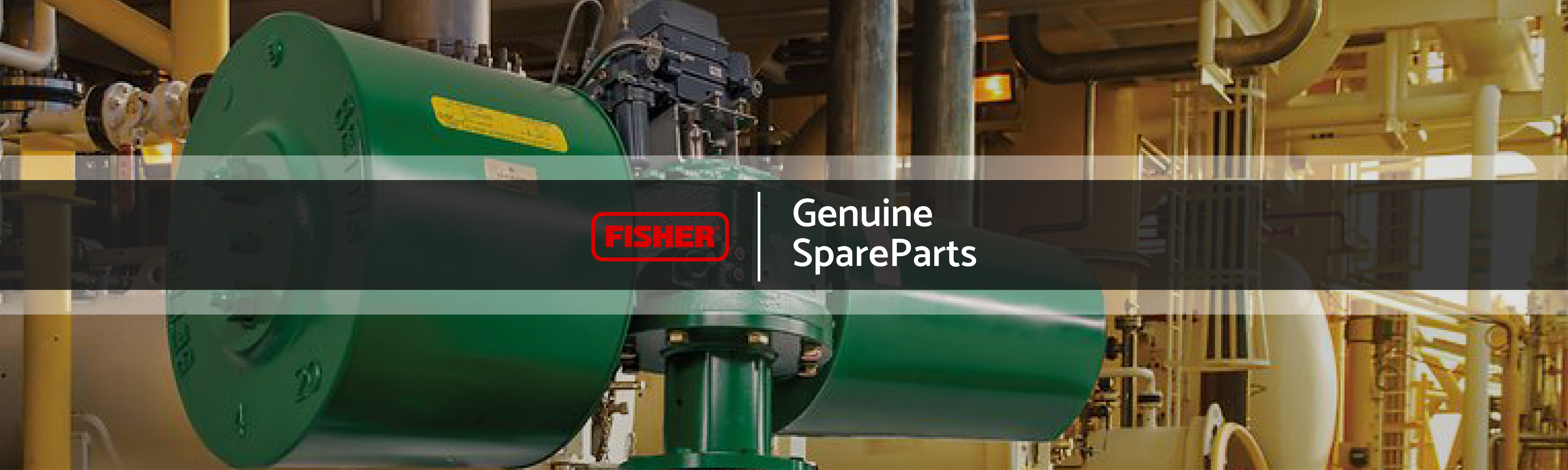 Genuine Fisher Spare Parts Supplier In Dubai - UAE